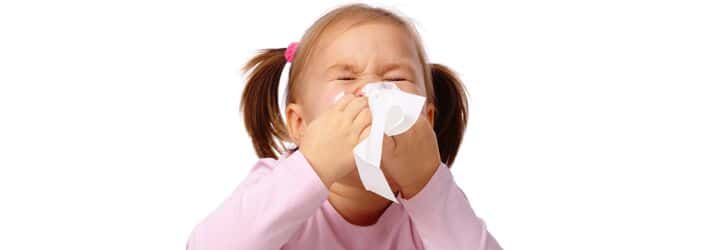 Chiropractic Georgetown TX Seasonal Allergies Mountain Cedar Chiropractic Georgetown TX Seasonal Allergies Mountain Cedar