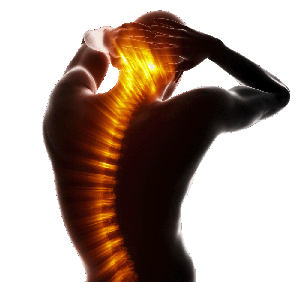 Chiropractic Copperas Cove TX Cut Out Spine Smaller