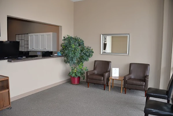 The front desk. The room has a plant and chairs.